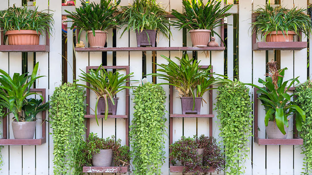 Realizza il tuo Giardino verticale grazie a Tonazzo