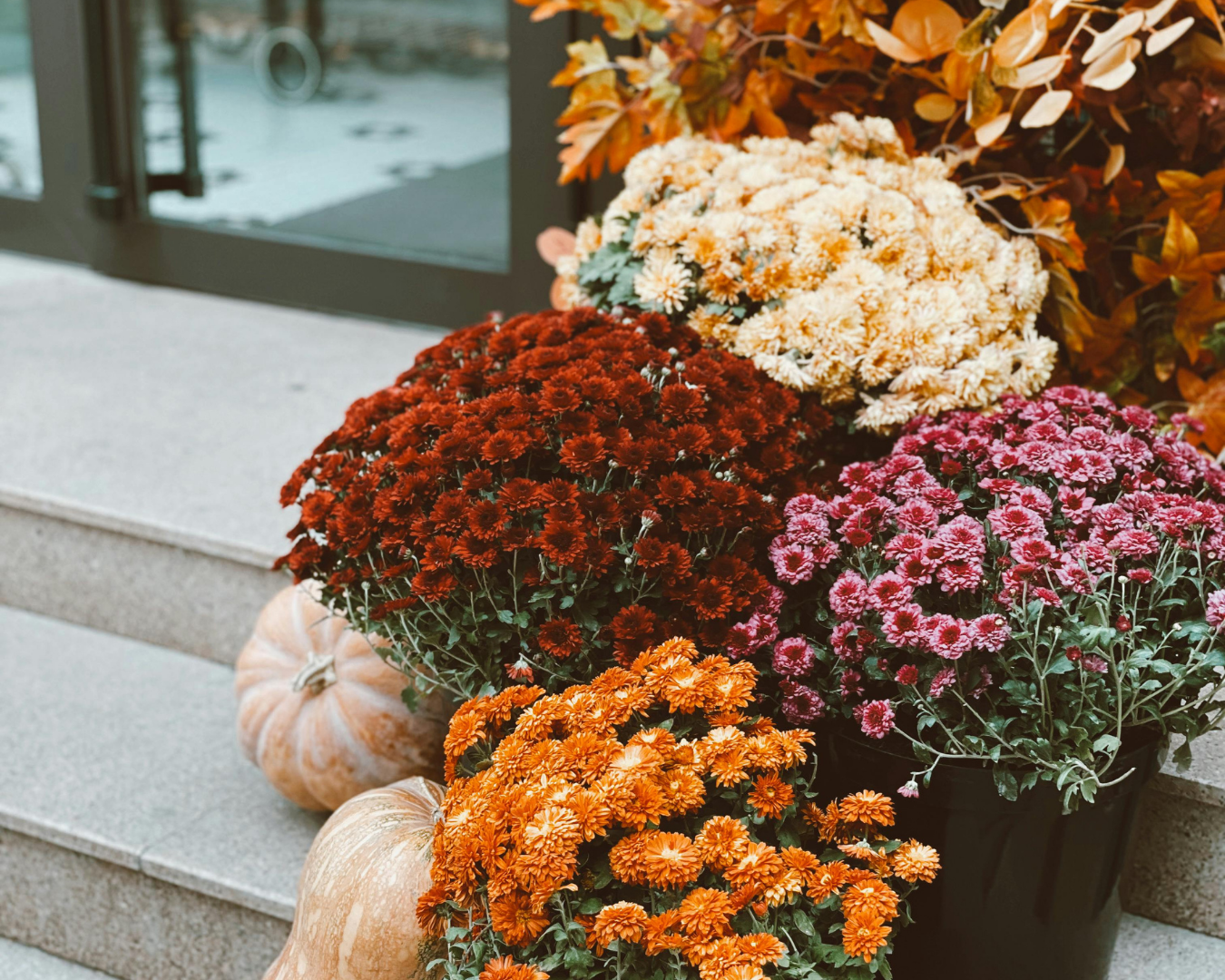 Vasi autunno giardino