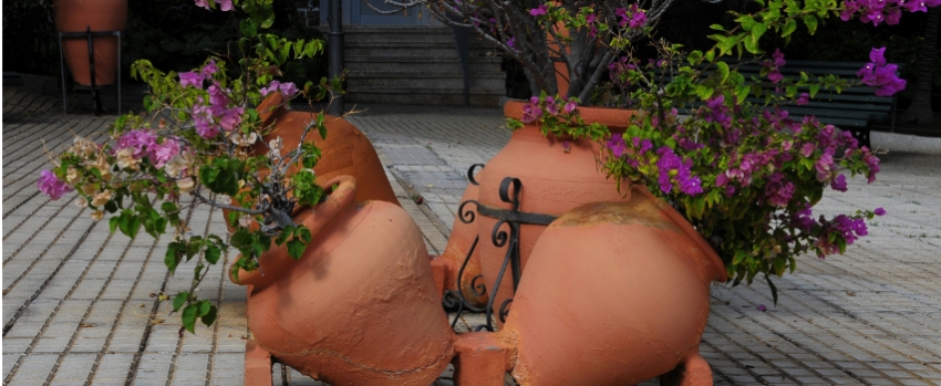 Come proteggere i tuoi vasi e ornamenti dal caldo estivo: materiali, trattamenti e consigli