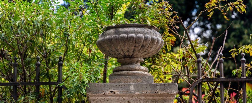 Vasi da esterno: come scegliere la misura giusta per ogni pianta e valorizzare il tuo giardino