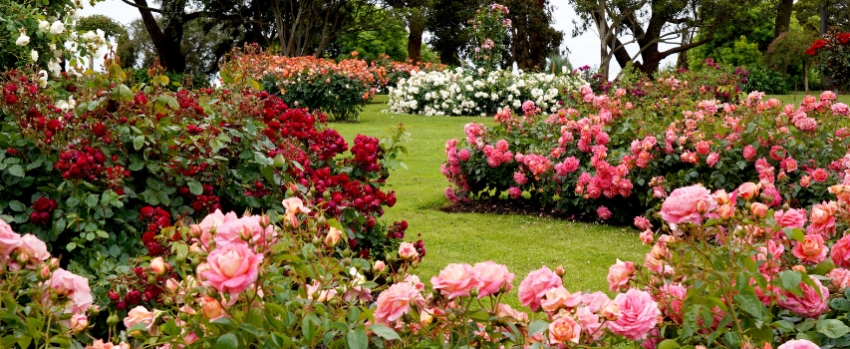 Arredo giardino 2025: come trasformare il tuo spazio esterno con i giusti elementi di classe